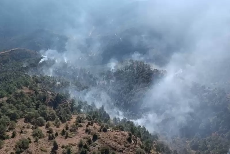 Antakya'da çıkan Orman Yangını Kontrol Altına Alındı