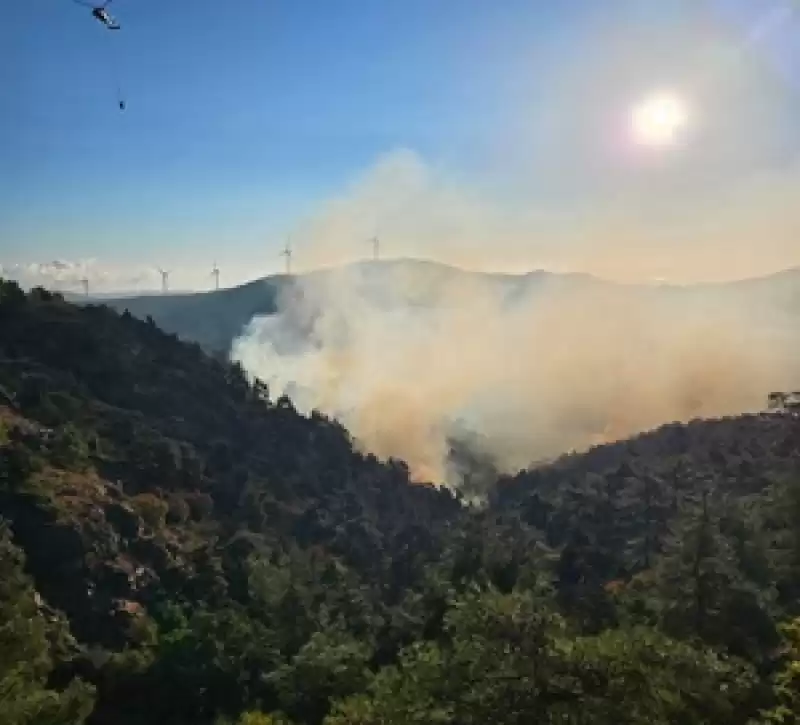 Antakya'da çıkan Orman Yangını Kontrol Altına Alındı