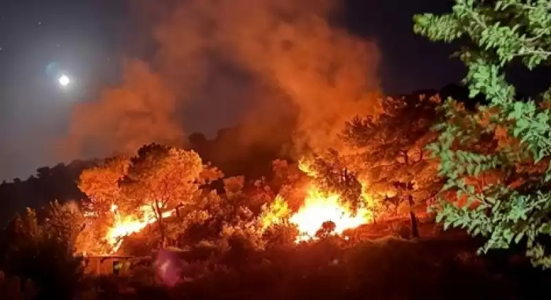 Kırıkhan Deli Bekir Mahallesinde çıkan Orman Yangını Söndürüldü