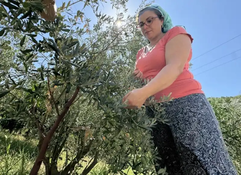 Hatay'da çiftçilik Yapan Avukat Kurduğu Kooperatifle Depremzede Kadınlara Destek Oluyor 