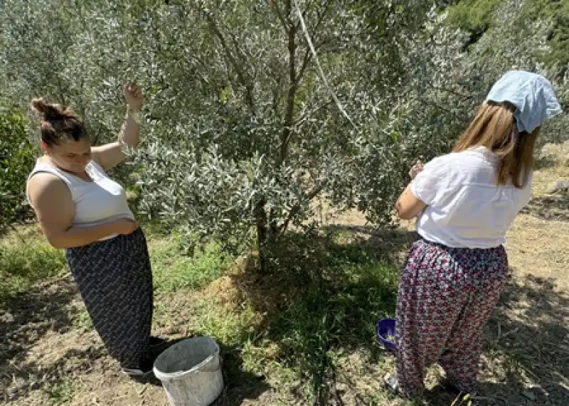 Hatay'da çiftçilik Yapan Avukat Kurduğu Kooperatifle Depremzede Kadınlara Destek Oluyor 