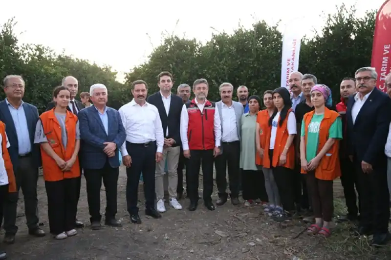 Tarım Ve Orman Bakanı İbrahim Yumaklı, Hatay'da Narenciye Hasadına Katıldı