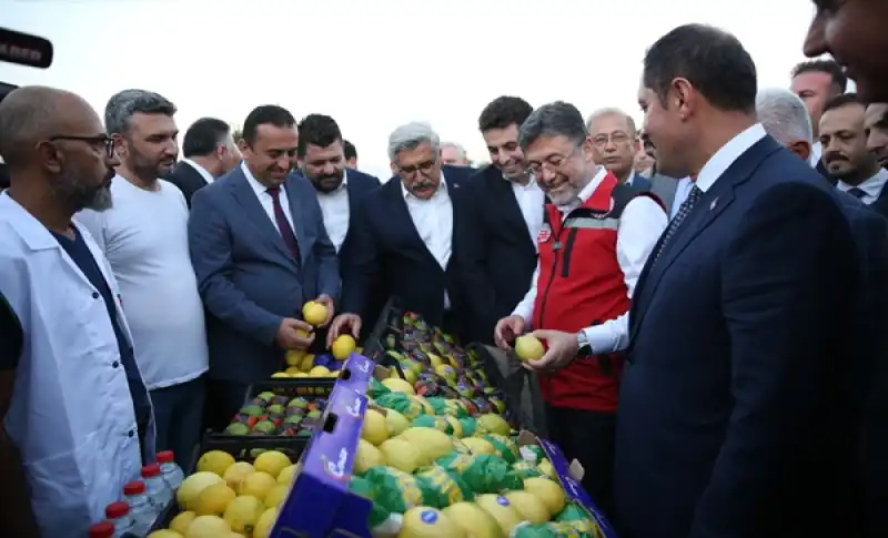 Tarım Ve Orman Bakanı İbrahim Yumaklı, Hatay'da Narenciye Hasadına Katıldı