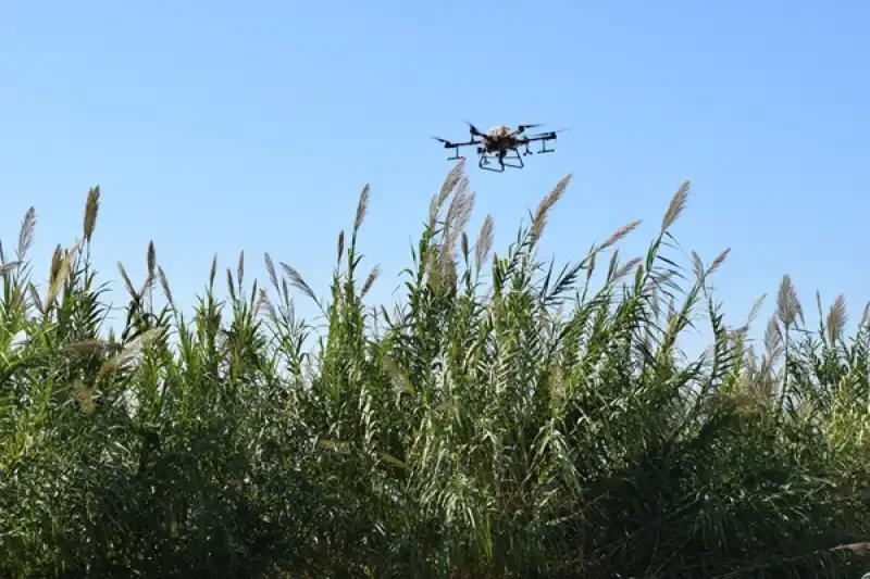 Karadan Ulaşılamayan Noktalar Drone Ile Ilaçlandı