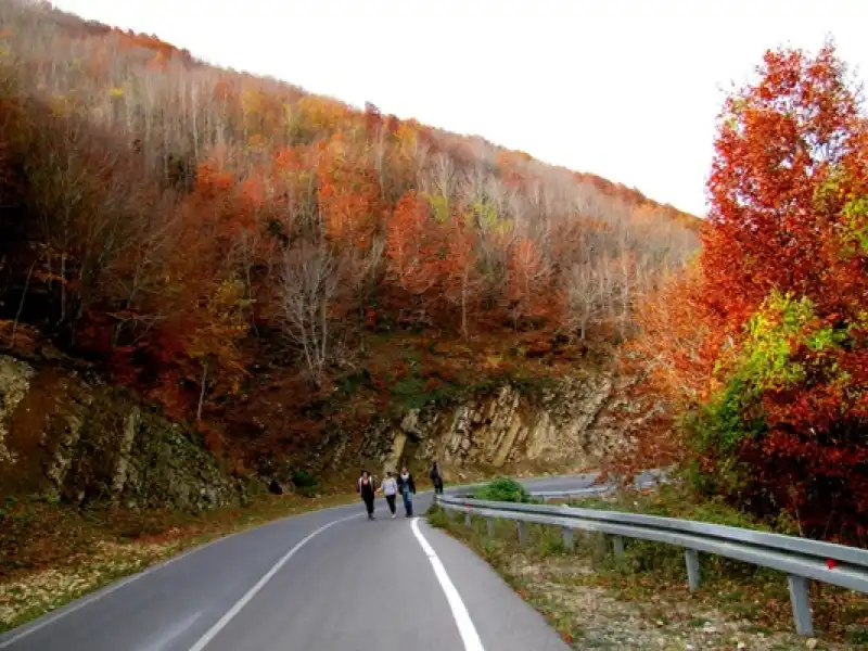 Akdeniz'de Karadeniz'i Yaşamak: Amanoslarda Sonbahar