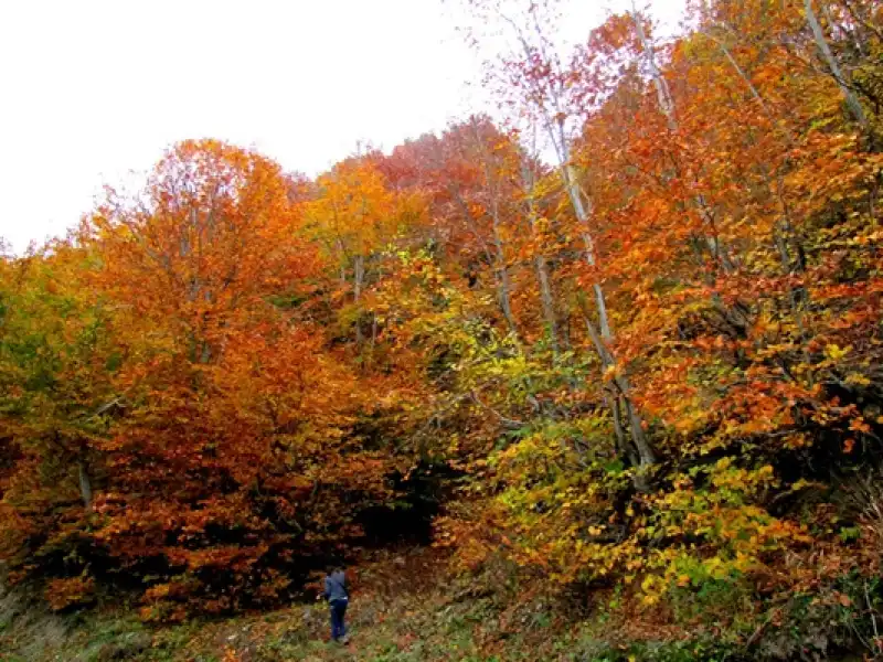 Akdeniz'de Karadeniz'i Yaşamak: Amanoslarda Sonbahar