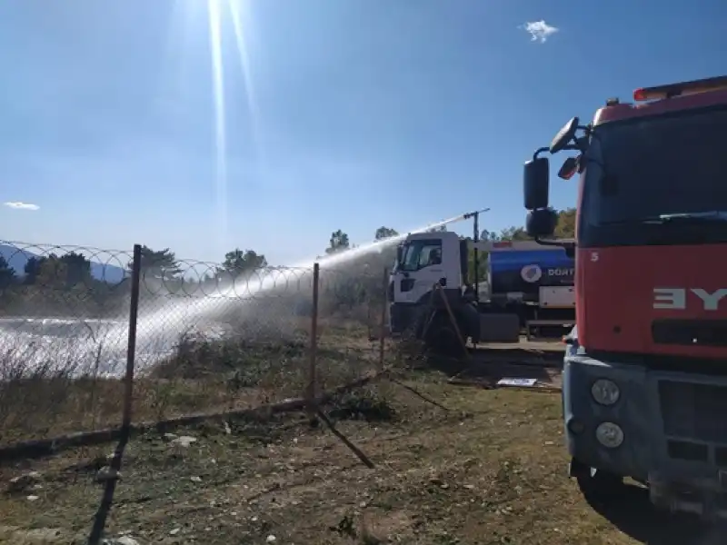 Hatay Dörtyol Ilçesin ’de Ormanlık Alanda Yangın çıktı