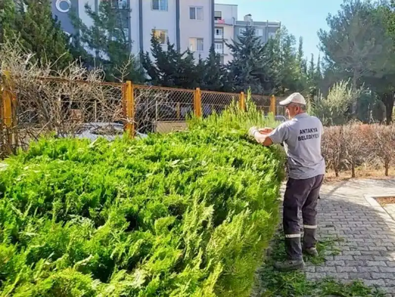 Antakya’nın Park Ve Yeşil Alanlarında Bakım Ve Onarım çalışmaları Devam Ediyor