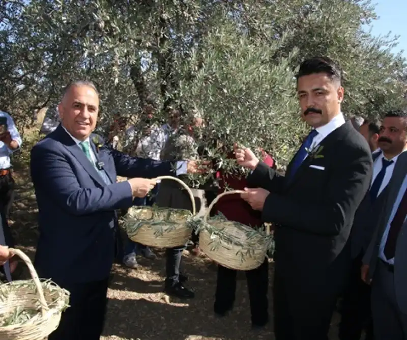 Hatay'da 8. Zeytin, Zeytinyağı Ve Gastronomi Festivali Düzenlendi