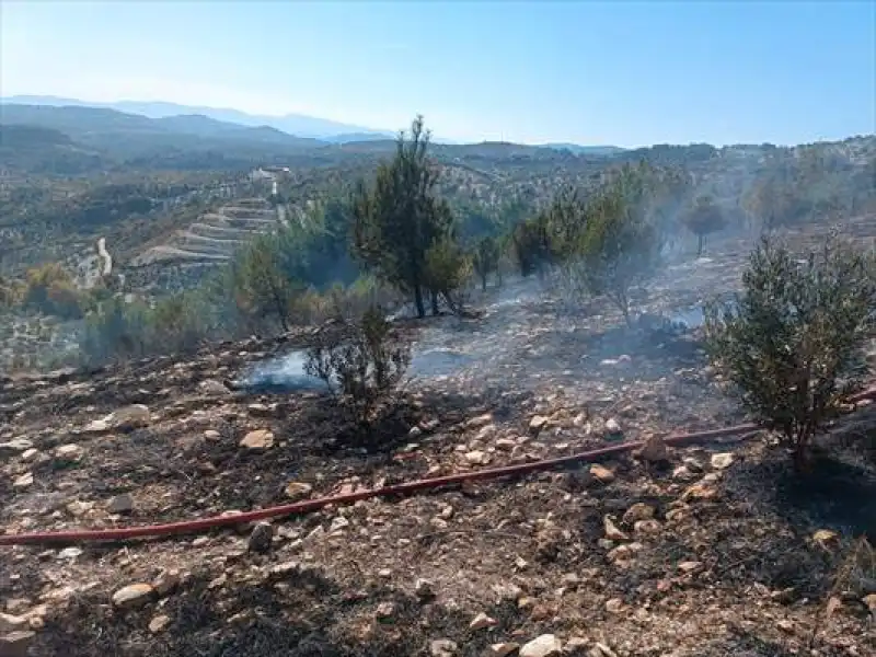 Yayladağı Ilçesinde Zeytinlik Alanda çıkan Yangın Söndürüldü