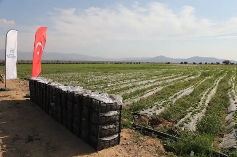 HBB’den 5 Bin Kişiye Istihdam Sağlayacak Projeye Destek