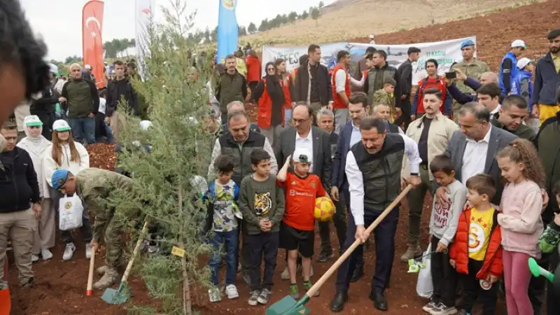 11 Kasım’da Binlerce Fidan Toprakla Buluştu