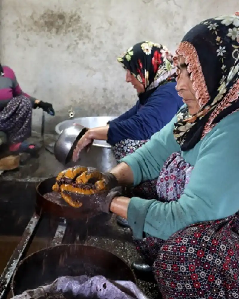 Altınözü’nde Asırlık Gelenek: Su Zeyti