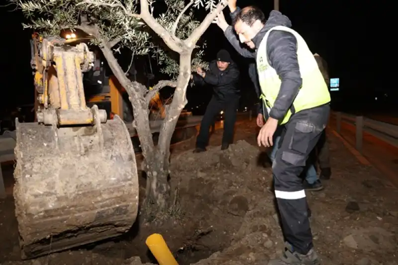 Refüjlerde Yeniden Ihya çalışmaları