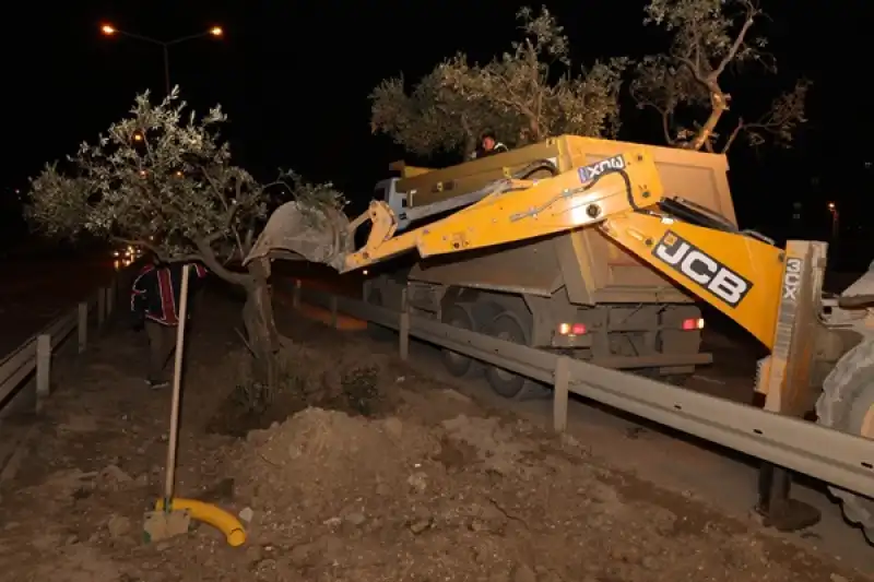 Refüjlerde Yeniden Ihya çalışmaları