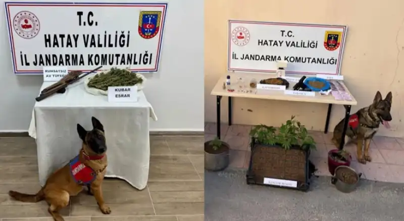 Hatay İl Jandarma, Uyuşturucu Tacirlerine Göz Açtırmıyor!