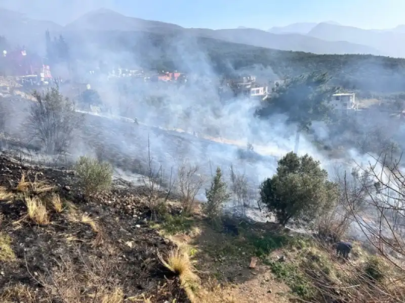 İskenderun'da çıkan Bahçe Yangını Söndürüldü