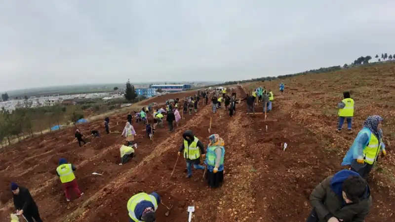 Kaybedilen Her Can, Bir Fidan Oldu HBB, Deprem şehidi Personellerini Unutmadı