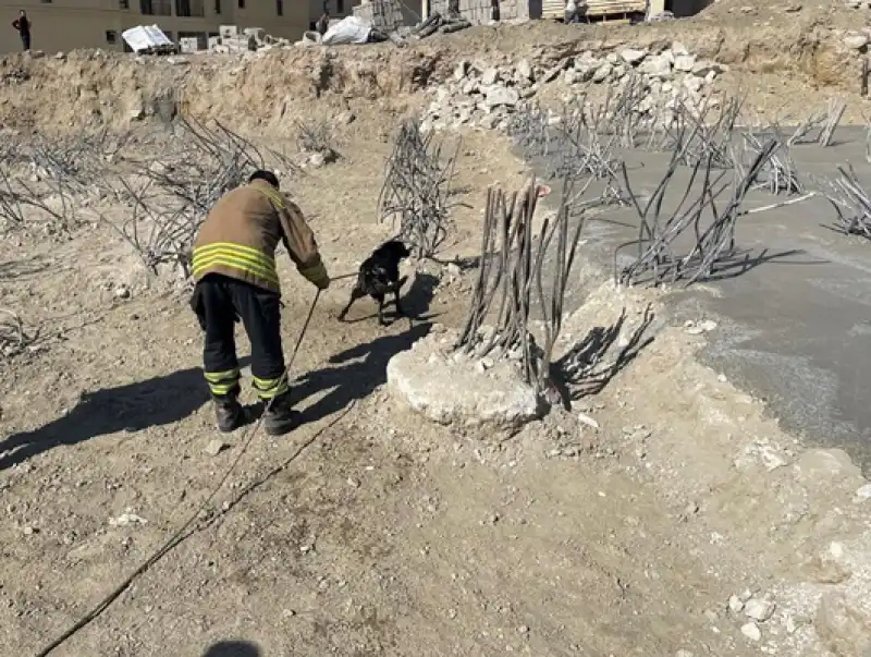 Antakya'da Inşaat çukuruna Düşen Köpek Kurtarıldı