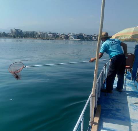 Denizdeki plastik atıklar temizleniyor