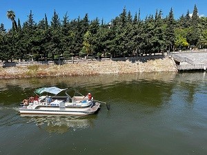 Asi Nehri’ndeki su sümbülleri temizleniyor