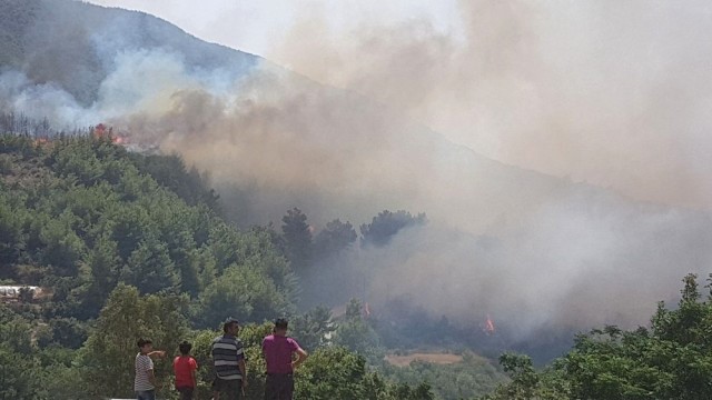 Arsuz ormanlık alanda yangın çıktı