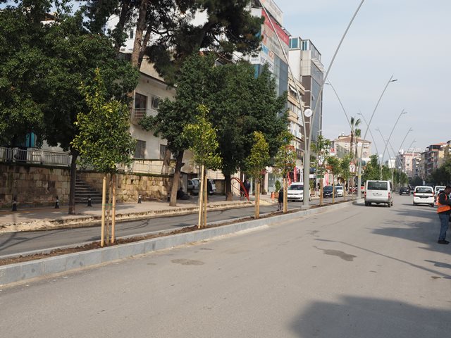 Atatürk Caddesi Turunç ağaçlarıyla bezendi