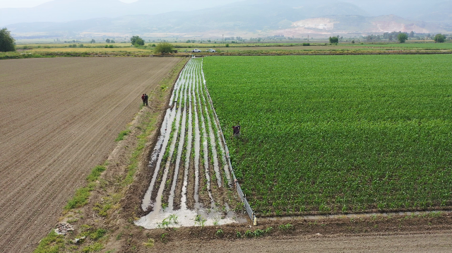 Hatay da Sulama Sezonu başladı