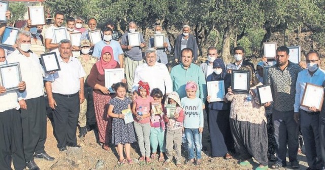 Zeytin üretiminde Hatay Türkiye de Altıncı sırada