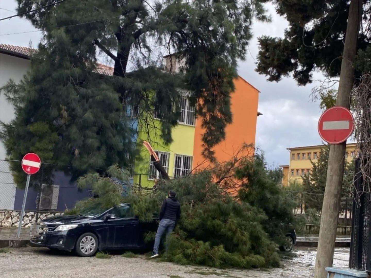 Fırtınada aracın üzerine ağaç devrildi