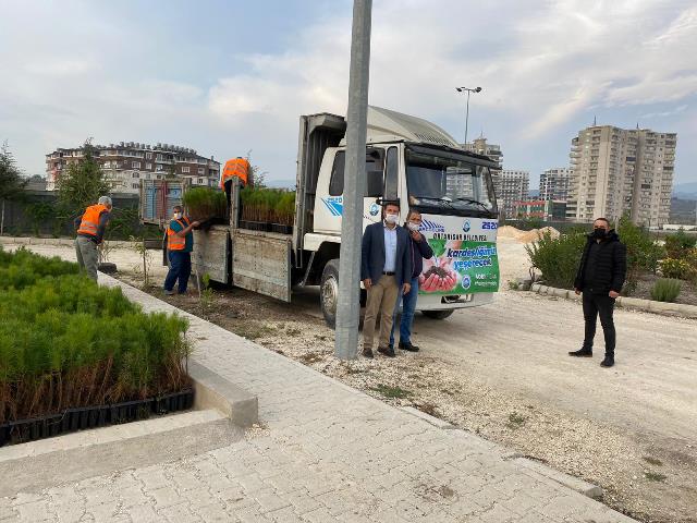 Karadenizin fidanları Akdeniz de yeşerecek