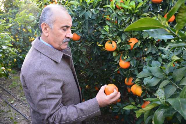 Dolu yağışında etkilenen tarım ürünlerini yerinde inceledi