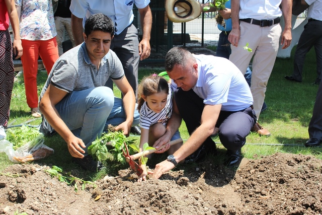 Arsuz da Farm The City projesi