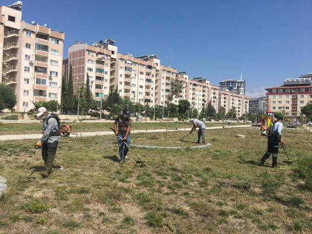 Hürriyet caddesi aydınlatma sistemlerinde bakım çalışmaları