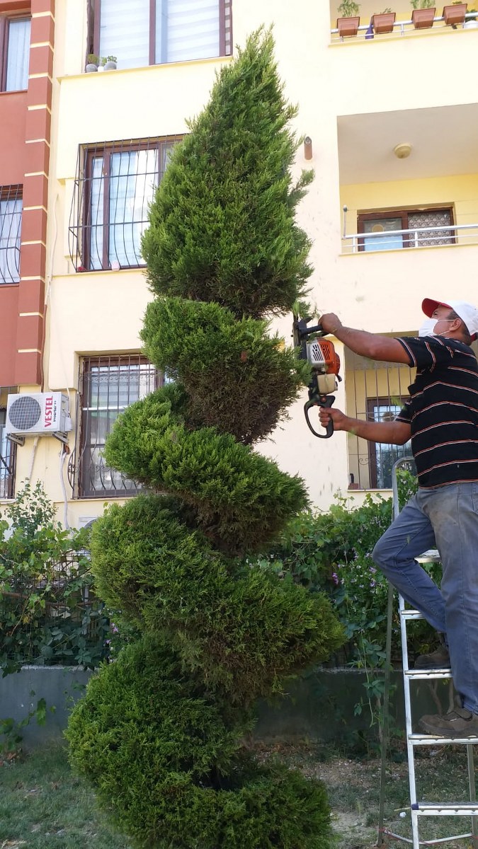 Park ve yeşil alanlara özel bakım