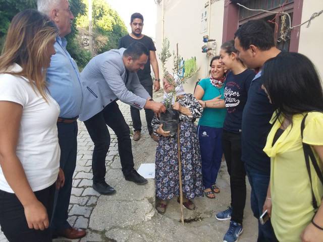 CHP li gençler tepki amaçlı zeytin fidesi dağıttı