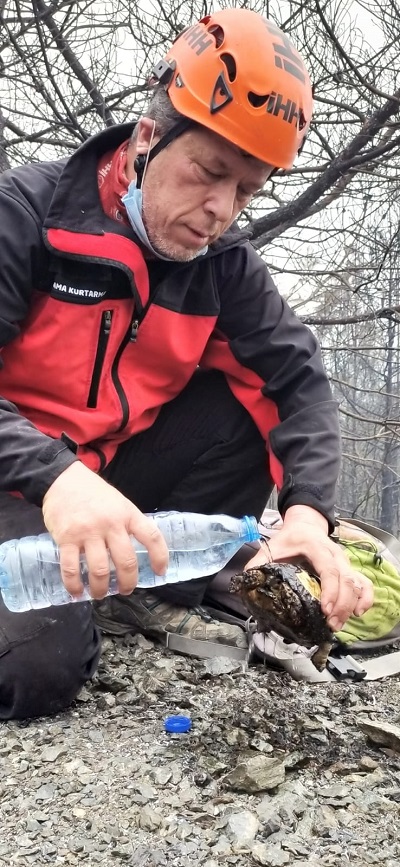 Yangında mahsur kalan kaplumbağayı Arama Kurtarma ekipleri kurtardı