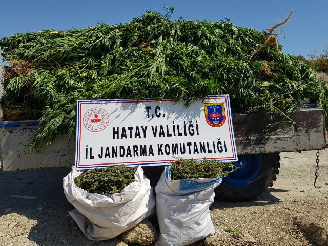 Hatay da 11 kilo 500 gram esrar yakalandı