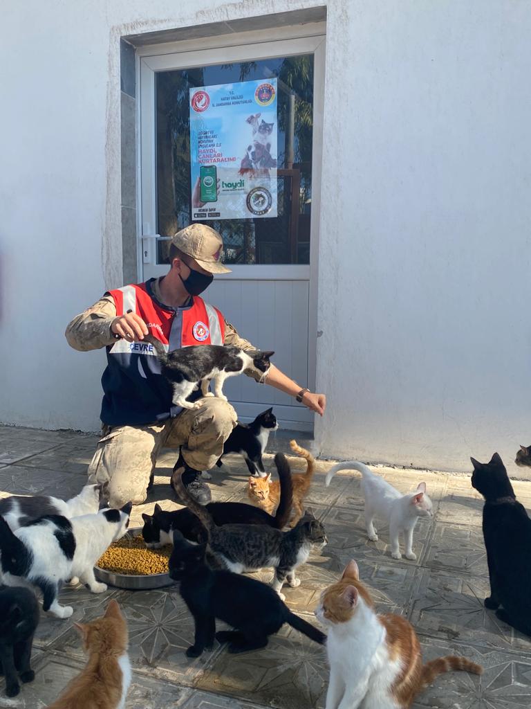 Jandarmadan sokak hayvanlarına mama ve su desteği