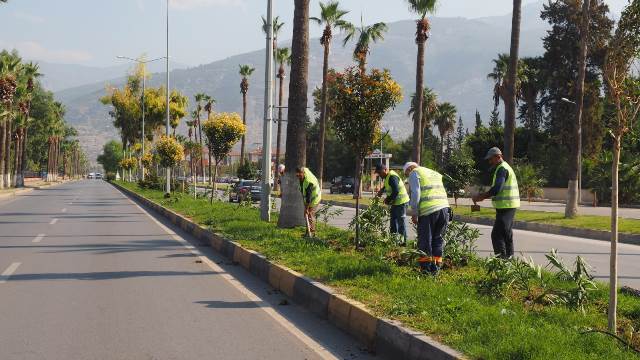 Orta refüj ve kavşaklarda bitkilendirme çalışmaları devam ediyor 