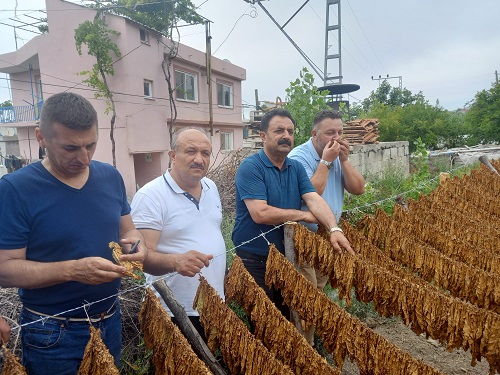 Devletimizden üreticimize destek istiyoruz