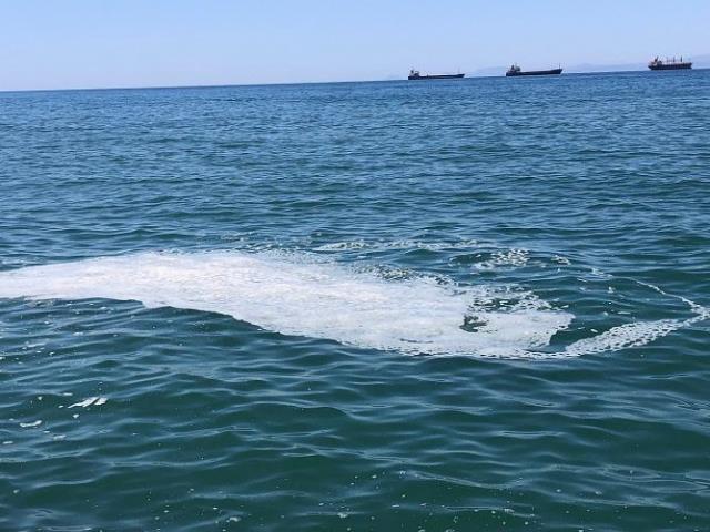 İskenderun sahilinde de deniz salyası görüldü