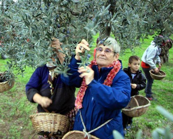 Canan Karatay Zeytin ve Zeytinyağı Festivalinde 