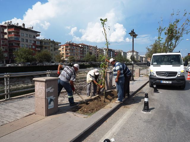 HBB den yeşili koruma çalışması