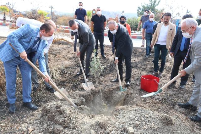 Yangın sonrası ilk ağaç dikimi gerçekleştirildi