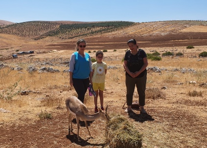 Hatay Dağ Ceylanları Dünyanın İlgi Odağında  