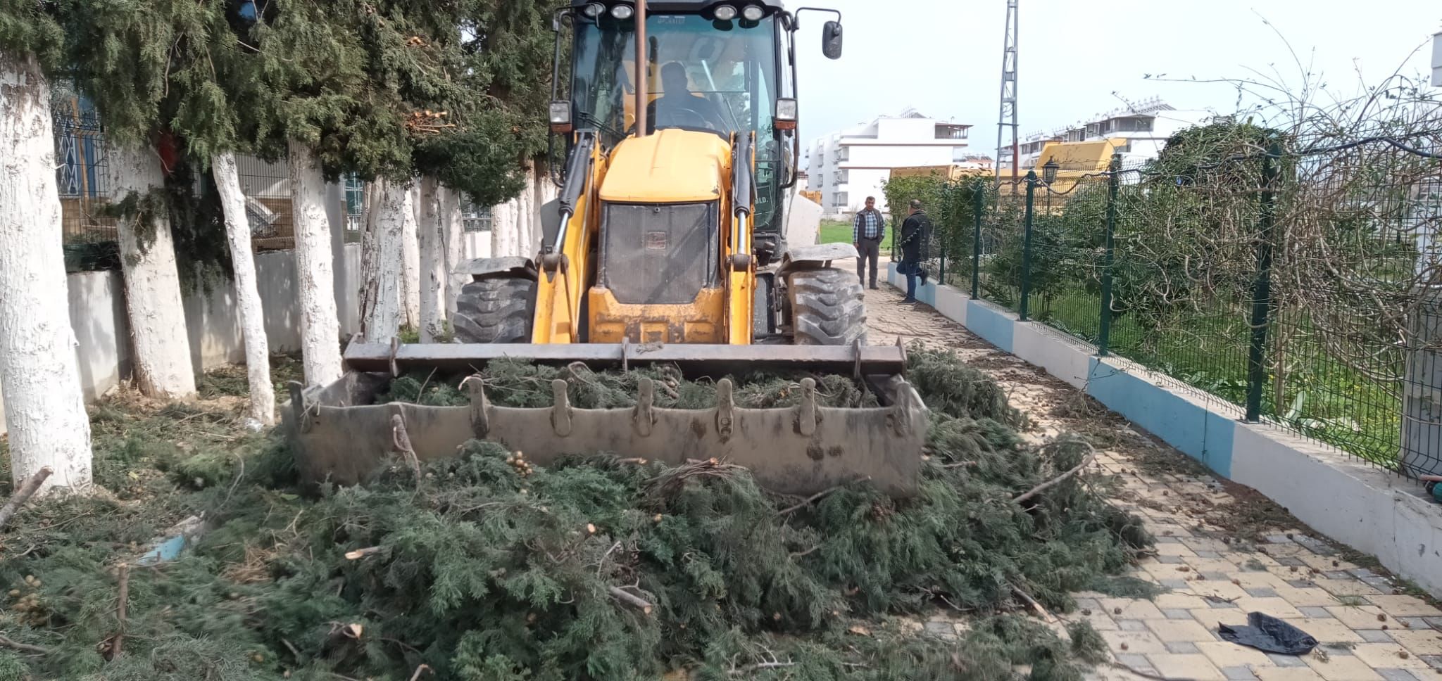 Arsuz Belediyesinden hummalı çalışma