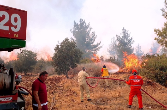 Hatay orman yangınları belgesel oldu