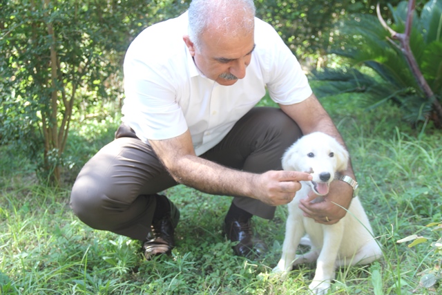 Bu doğa sadece insanların değil