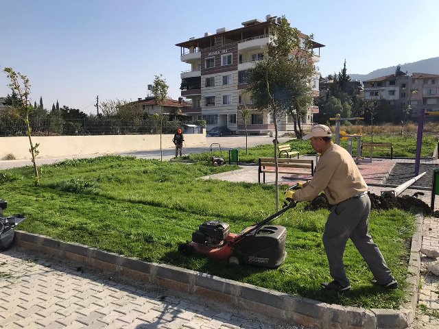 Antakya Belediyesi ekiplerinden çim biçme çalışması